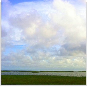 Pensacola Marsh