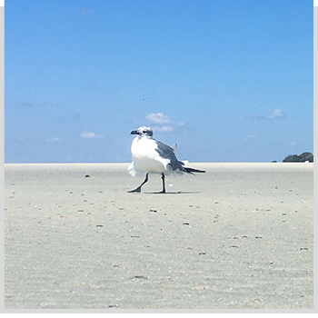 Pensacola Beach